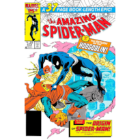 A saga do homem-aranha 14 (38)