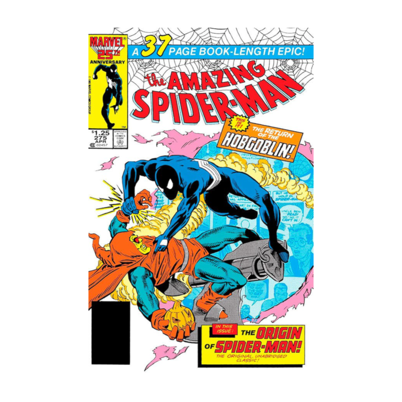 A saga do homem-aranha 14 (38)