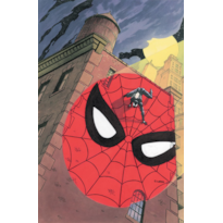 A Saga do Homem-Aranha 17 (41)