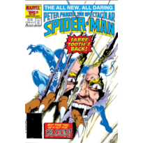 A saga do homem-aranha 18 (42)