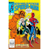 A Saga do Homem-Aranha 24