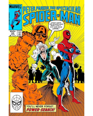 A Saga do Homem-Aranha 24