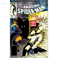 A Saga do Homem-Aranha 3 (27)