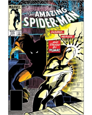 A Saga do Homem-Aranha 3 (27)