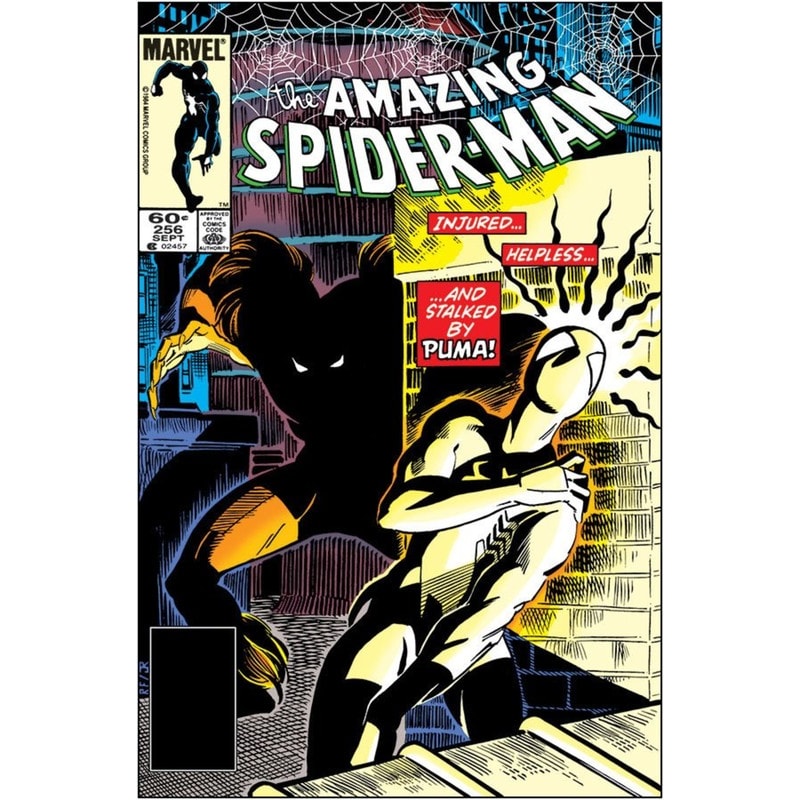 A Saga do Homem-Aranha 3 (27)