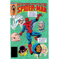 A Saga do Homem-Aranha 5 (29)