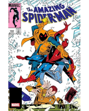 A Saga do Homem-Aranha 6 (30)