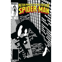 A saga do Homem-Aranha 8 (32)