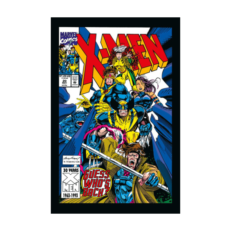 A saga dos x-men 11 (47)