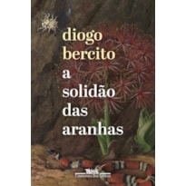 A SOLIDÃO DAS ARANHAS