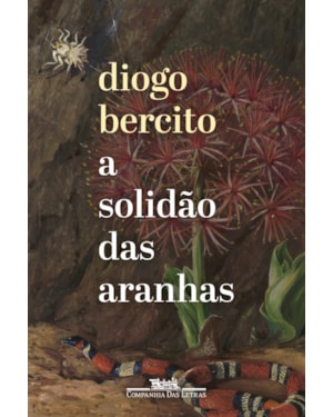 A solidão das aranhas