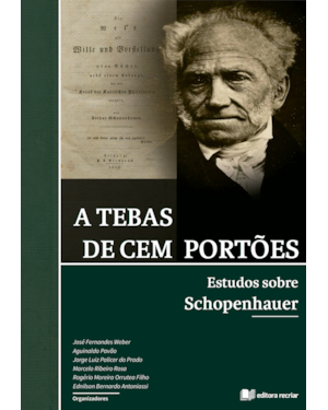 A tebas de cem portões: estudos sobre schopenhauer