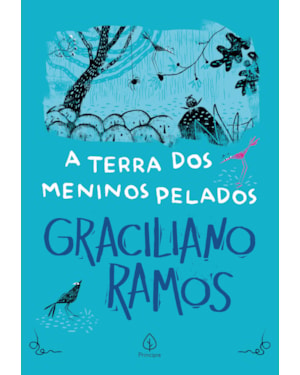 A TERRA DOS MENINOS PELADOS