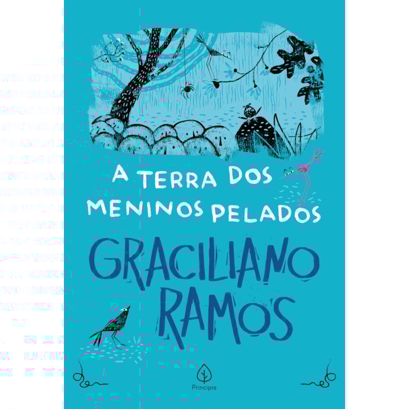 A TERRA DOS MENINOS PELADOS