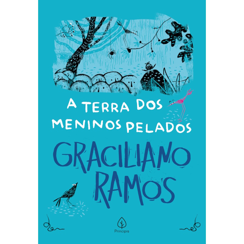 A TERRA DOS MENINOS PELADOS