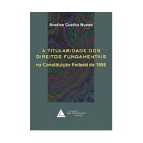 A TITULARIDADE DOS DIREITOS FUNDAMENTAIS