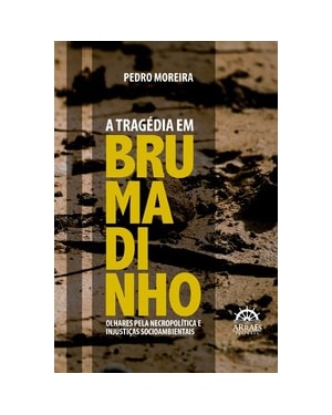 A tragédia em Brumadinho: olhares pela necropolítica e injustiças socioambientais