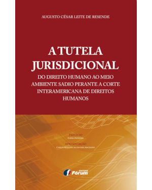 A tutela jurisdicional do direito humano