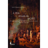 A vida através da morte: formação do mercado de trabalho livre e o destino dos negros - Rio Claro, 1875-1930