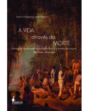 A vida através da morte: formação do mercado de trabalho livre e o destino dos negros - Rio Claro, 1875-1930