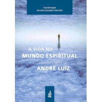 A VIDA NO MUNDO ESPIRITUAL