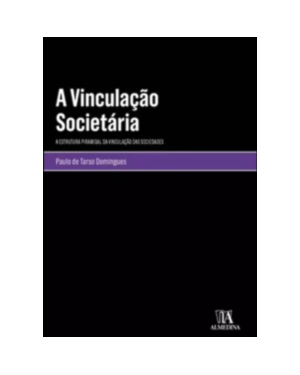 A vinculação societária: a estrutura piramidal da vinculação das sociedades