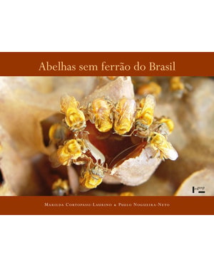 Abelhas sem ferrão do Brasil