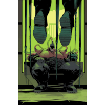 Absolute Batman 06