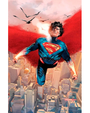 Absolute superman 08