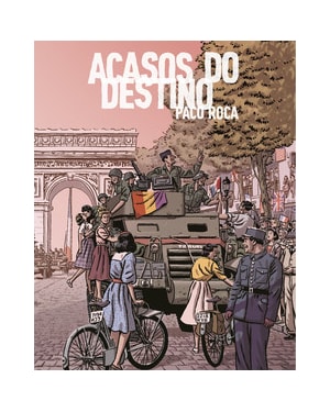 Acasos do Destino