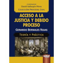 ACCESO A LA JUSTICIA Y DEBIDO PROCESO - TEORÍA Y PRÁCTICA - COLECCIÓN PROCESAL CIVIL - COORDINADOR: DAVID VALLESPÍN PÉREZ