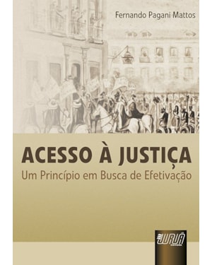 ACESSO À JUSTIÇA - UM PRINCÍPIO EM BUSCA DE EFETIVAÇÃO