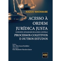 ACESSO À ORDEM JURÍDICA JUSTA (CONCEITO ATUALIZADO DE ACESSO À JUSTIÇA) - PROCESSOS COLETIVOS E OUTROS ESTUDOS
