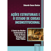 AÇÕES ESTRUTURAIS E O ESTADO DE COISAS INCONSTITUCIONAL - A TUTELA DOS DIREITOS FUNDAMENTAIS EM CASOS DE GRAVES VIOLAÇÕES PELO PODER PÚBLICO