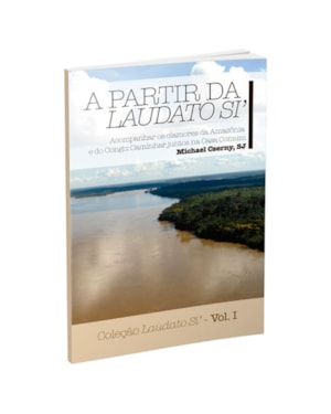 Acompanhar os Clamores da Amazônia e do Congo: Caminhar Juntos na Casa Comum - Coleção Laudato Si Vol. 01