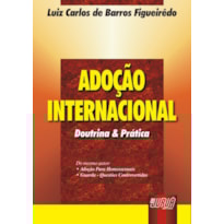 ADOÇÃO INTERNACIONAL - DOUTRINA E PRÁTICA