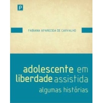 Adolescente em liberdade assistida: algumas histórias