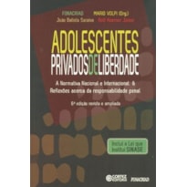 ADOLESCENTES PRIVADOS DE LIBERDADE: A NORMATIVA NACIONAL E INTERNACIONAL & REFLEZÕES ACERCA DA RESPONSABILIDADE PENAL