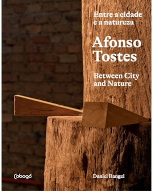 AFONSO TOSTES - ENTRE A CIDADE E A NATUREZA