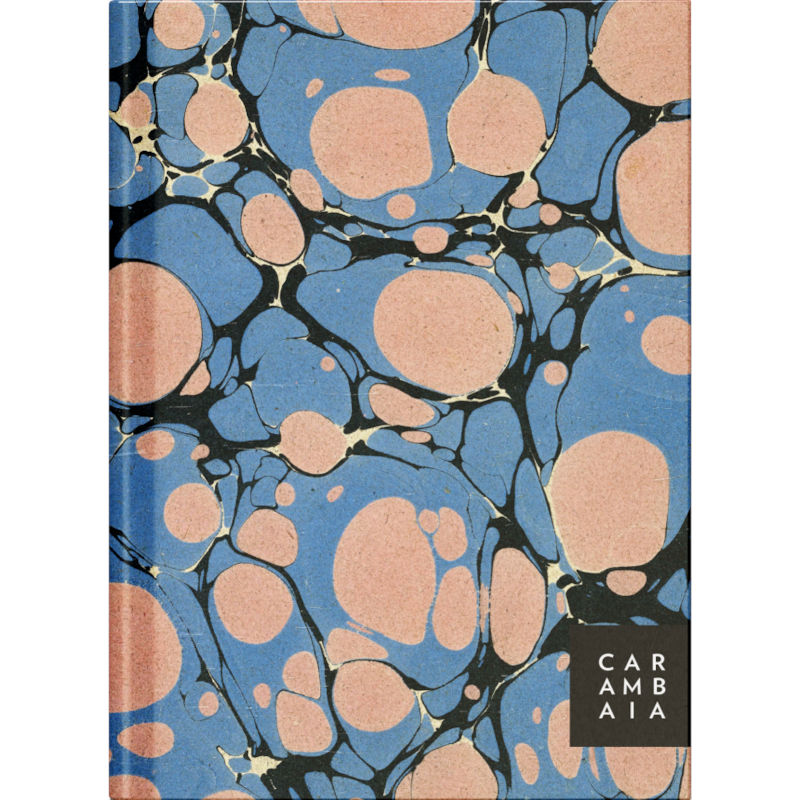 AFORISMOS - ESCRITORES E SEU OFÍCIO: PLANNER - MODELO 1