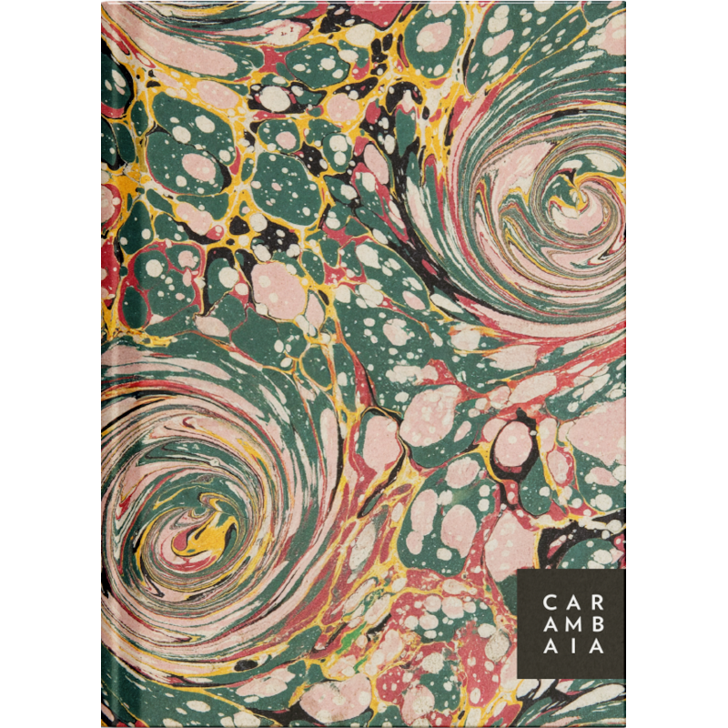 AFORISMOS - ESCRITORES E SEU OFÍCIO: PLANNER - MODELO 2