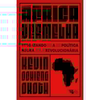 África Vermelha: resgatando a política negra revolucionária