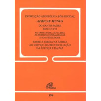 AFRICAE MUNUS - EXORTAÇÃO APOSTÓLICA PÓS-SINODAL - 196: SOBRE A IGREJA NA ÁFRICA AO SERVIÇO DA RECONCILIAÇÃO, DA JUSTIÇA E DA PAZ