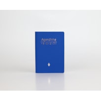 AGENDA SIMPLES 2027 - AZUL