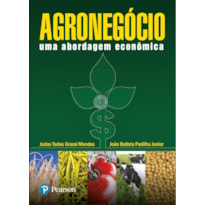 AGRONEGÓCIO: UMA ABORDAGEM ECONÔMICA
