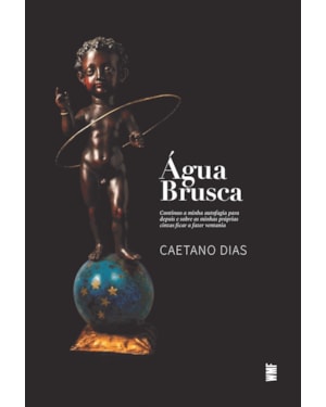 ÁGUA BRUSCA: POÉTICAS DE PROCESSO