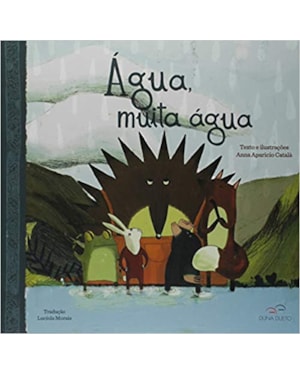 Água, muita água