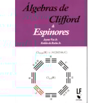 ÁLGEBRAS DE CLIFFORD E ESPINORES