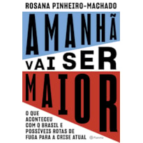 AMANHÃ VAI SER MAIOR: O QUE ACONTECEU COM O BRASIL E POSSÍVEIS ROTAS DE FUGA PARA A CRISE ATUAL