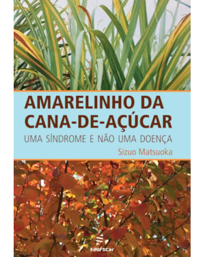 AMARELINHO DA CANA-DE-AÇÚCAR: UMA SÍNDROME E NÃO UMA DOENÇA